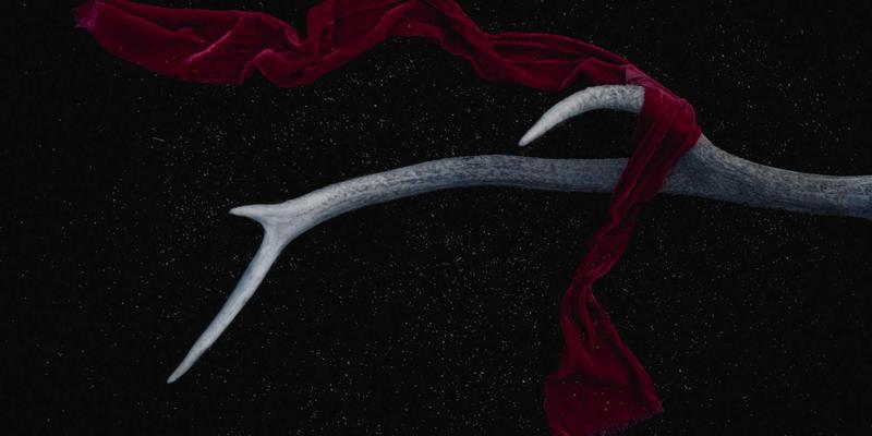 专业级户外羽绒睡蓬选购指南：平衡填充物、蓬松度与防水技术，打造完美露营体验