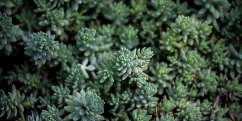 从健身房到戈壁：健行者的沙漠探险装备升级指南