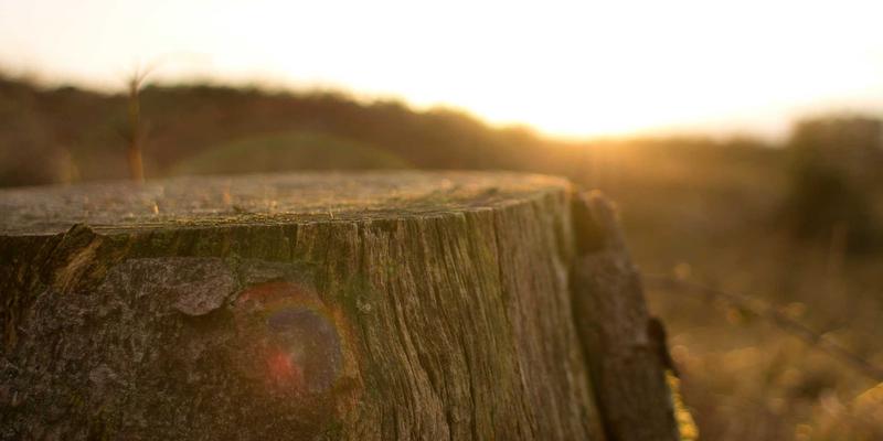 从粗犷到智能：户外装备的演进如何重塑徒步体验与运动服饰潮流