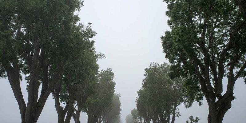 从都市健行者到山野徒步者:专业装备进阶指南
