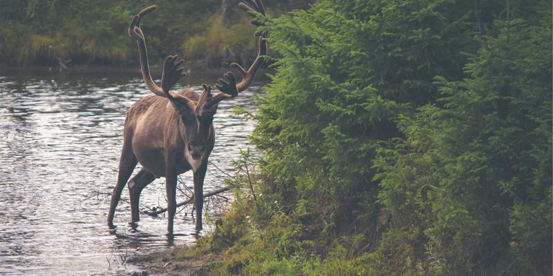 徒步登山装备进阶指南：深度解析头灯流明、光束模式与续航实战技巧