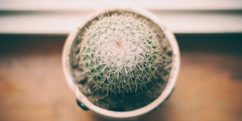 徒步装备与健身器材：户外运动爱好者的双重进化