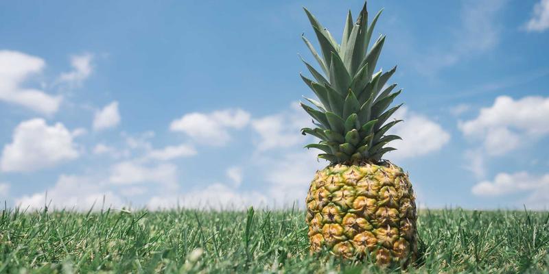 户外多功能工具钳深度测评：从Leatherman到SOG，你的露营装备与健行应急专家