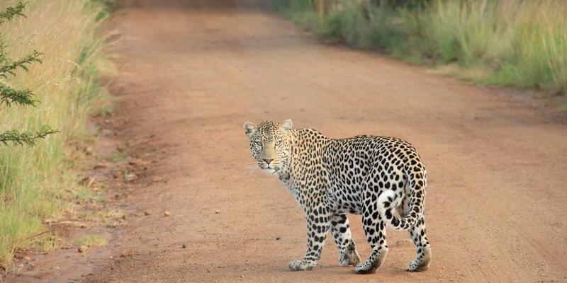 户外摄影装备全攻略：兼顾便携性与画质的器材选择，运动服饰与露营装备如何搭配？