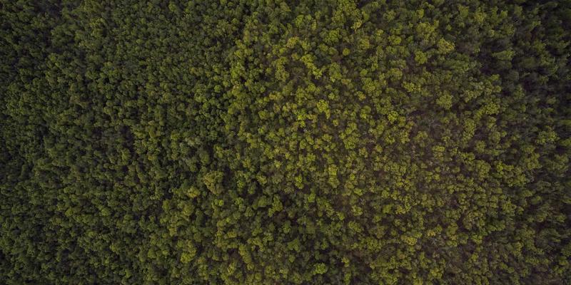 户外装备76：从健身器材到登山露营的全能装备指南