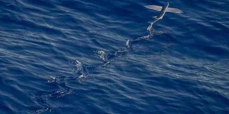 户外装备全解析：从健身器材到登山露营，打造完美户外体验