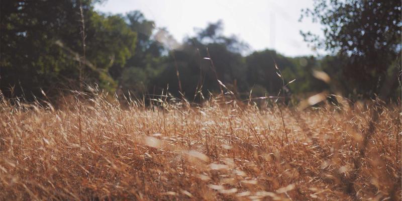 登山装备与徒步装备进阶指南：如何根据活动类型选择专业头灯与营地灯