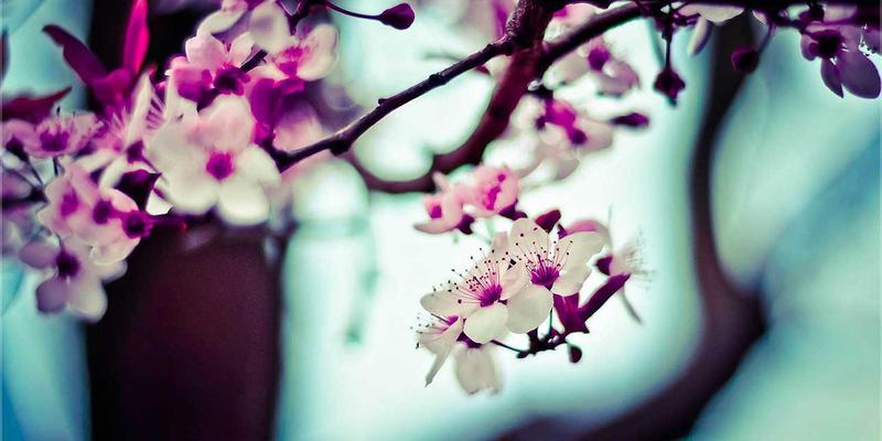 高海拔徒步装备指南：专业健行者如何应对缺氧、强紫外线与极端温差